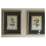Pair of Floral Prints
