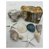 BEACH SHELLS AND ROCKS