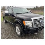 2009 Ford F-150 XL 4x4 Platinum