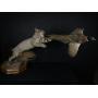 Taxidermy, Antiques, and Collectibles Auction