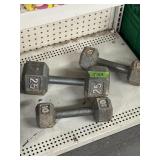 (2) 10lb weights and (1) 25lb weight