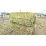 Small Animal, Hay & Consignment Auction