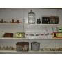 July 10th "Friday Night Experience" at the Grifton Auction House