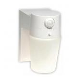 110  White Motion Sensing Outdoor Light