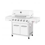 $599 Gourmet Pro 6-Burner Stainless Gas Grill