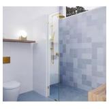 $196 Vela 18.5x78 Single Fixed Panel Frameless