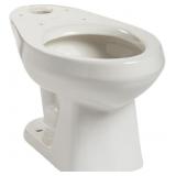 Mansfield Quantum Elongated Toilet Bowl, White