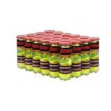 Penn Championship Tennis Balls, 3 Pack