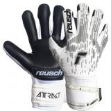 Reusch Attrakt Freegel Silver Gloves