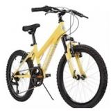 $300 Nishiki Girls Pueblo 20" Mountain Bike