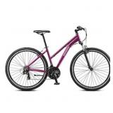 $400 Schwinn Women