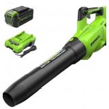 $164 Greenworks 2x24V (48V) 585 CFM Blower.