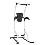 $160 Fitness Gear Pro Power Tower (2024)