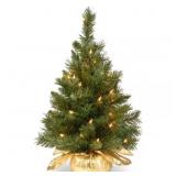 24 in. Majestic Fir Tree with Clear Lights