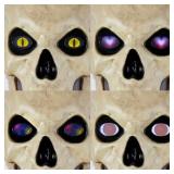 1 Lot 2-12 ft. Skelly Eye Kit - 8 Function