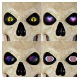 1 Lot 2-12 ft. Skelly Eye Kit - 8 Function