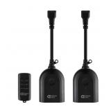 Commercial Electric Wireless Remote with 2 Rev