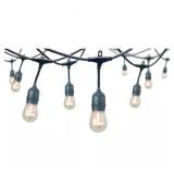 12-Light Indoor/Outdoor LED String Lights