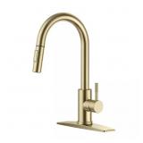 Single-Handle Pull-Down Faucet (Brushed Gold)