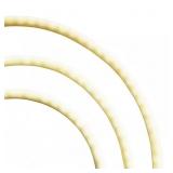 EcoSmart 16.4 ft LED Outdoor Rope Light