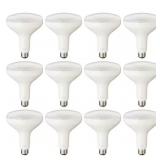 Private Brand 75W BR40 Dimmable LED Daylight