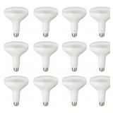 PRIVATE BRAND UNBRANDED 75W BR40 LED 12-Pack