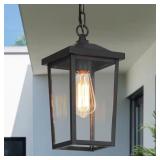 Matte Black 1-Light Lantern Pendant Light