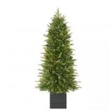 G3 4 ft Grand Duchess LED Tree