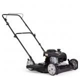 $329 Briggs & Stratton 20 in. Gas Push Lawn Mower