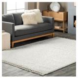 nuLOOM Neva Modern Tasseled Shag Accent Rug, 2x12
