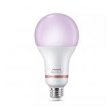 $27 A23 LED DIMMABLE SMART BULB 2200K-6500K (1)