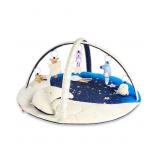 Skip Hop Celestial Dreams Activity Gym - Multi