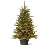 $80 3ft. Everyday Collection Potted Evergreen Tree
