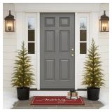 $120 Set of 2 Pre-Lit Potted Christmas Tree, Batte