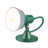 $18 2-GoGreen Power Indoor/Outdoor Floodlight Hold