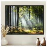 $31 Sunny Morning Magic Forest III - Forest photog