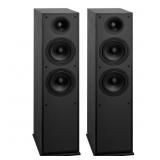 $269 Floorstanding Speakers 2-Way Floor-Standing T