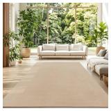 $29 Soft Area Rug Cozy Low-Pile Rug Anti-Slip Soli