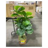 Condition: Open Box - Not Tested