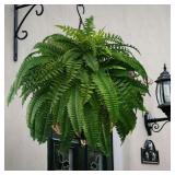 $36 2 Piece Pack Artificial Boston Fern Plant Bush