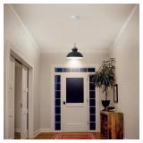 1 - Light Single Pendant