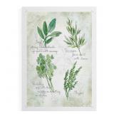 $19 Fresh Herbs II -Canvas Print Only - NOT FRAMED