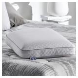 $31 Sealy To Go Classic Memory Foam Pillow