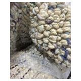 8x10 Bleach/Multi Color Rug