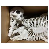 5.9 FOOT HALLOWEEN LIFE SIZE SKELETON REALISTIC FU