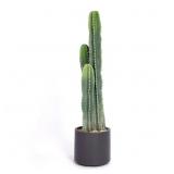 $163 40.16' FAUX CACTUS PLANT IN PLANTER