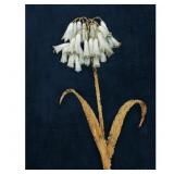 ' SHIMMERING SUMMER II INDIGO CROP ' BY JAMES WIEN