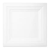 2 FT. X 2 FT. DROP-IN CEILING TILE,WATERPROOF PVC