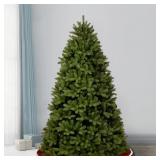 $215 NEWBERRY SPRUCE TREE
