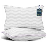 DREAMARA PILLOWS QUEEN SIZE SET OF 2 - HOTEL COLLE
